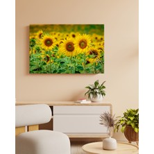 Ayçiçeği Tarlası ve Gökyüzü - Ahşap Mdf Tablo