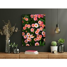 Beyaz ve Pembe Papatyalar - Ahşap Mdf Tablo