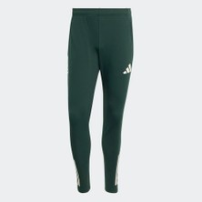 Adidas JN7470 Juve Eu Tr Pnt