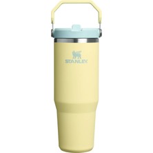 The Iceflow Flip Straw Pipetli Termos Bardak 0,89L