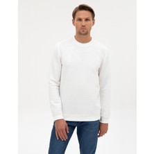 Pierre Cardin Erkek Ekru Regular Fit Sweatshirt 50311686-VR019