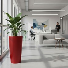 DEQQU Aura Vaso 70X35CM Konik Fiberglass Saksı Büyük Boy Iç Mekan Dış Mekan