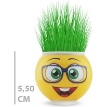 Çim Adam Saksı Emoji Figürlü 1 Adet