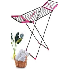 Avrora Kurutmalık Kanatlı 17009