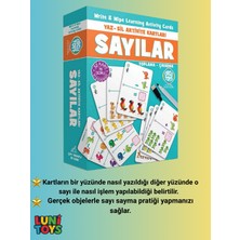 Circle Toys Yaz-Sil Aktivite Kartları Sayılar