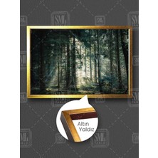Karanlık Orman Ağaçların Arasından Sızan Gün Işığı Manzara Çerçeveli Yatay Kanvas Tablo
