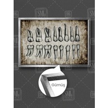 Azı ve Köpek Dişi Ağız ve Diş Sağlığı Diş Hekimi Muayenehane Dişçi Çerçeveli Yatay Kanvas Tablo