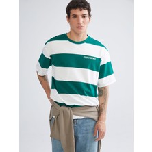 Lc Waikiki Yeni Sezon Bisiklet Yaka Çizgili Penye Erkek Tişört