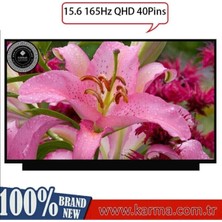 Asus Rog Strix G15 G513IR Serisi LCD Ekran, Panel 2560X1440P - 165Hz