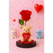 Dekoratif Tasarım Fanus LED Işıklı Kırmızı Gül ı Love You Ayıcık Sevgiliye Romantik Aşk Hediye Seti