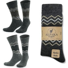 Gowith 2 Çift Alpaka Yünlü Zikzak Desenli Termal Doğal Kışlık Kadın Erkek Çorap 3099
