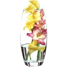 43966 Botanica Cam Vazo