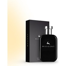 Muscent M008 Savauge