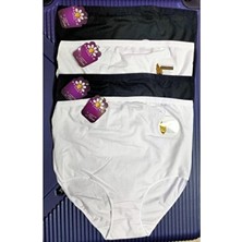 Modal Hamile Külot Paket 4 Adet