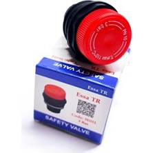 Emniyet Ventili Kombi 3 Bar Kafa