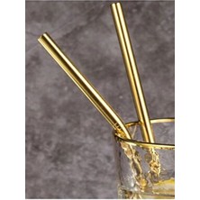 Nebil Home Gold 2’li Paslanmaz Çelik Pipet Seti 21 cm + 23 cm Temizleme Fırçası Şık Altın Renk