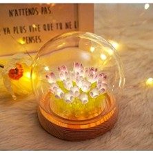 Fanus Içinde Lale Bahçesi Tasarımlı Ledli Masa ve Gece Lambası