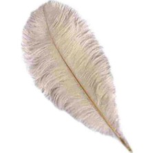 Tüy (Kalem ve Organizasyon Için) 30*35 cm Krem Pk:1