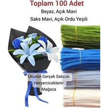 4'lü Şönil Seti 25 Adet Beyaz,25 Adet Saks Mavi, 25 Adet Açık Mavi, 25 Adet Açık Yeşil, Tüylü Tel