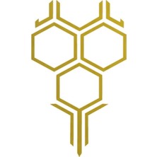 Petek Kaput Oto Sticker - Araç Sticker - 58*35CM