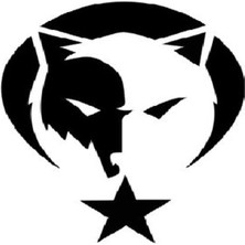 Türk Arma Bayrak Kurt Araç Sticker Araba Türk Bayrağı 15X15