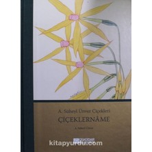 Çiçeklername Kod:11-B-47