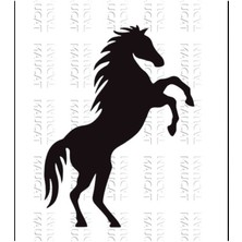 Şaha Kalkmış At Sticker Araç Araba Duvar