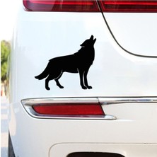 Kurt Tasarım Folyo Araç Yazısı Araba Stickeri