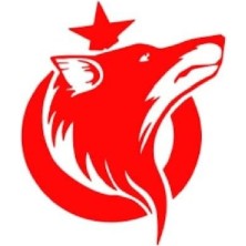 Türk Arma Bayrak Kurt Araç Sticker Araba Türk Bayrağı 15X15