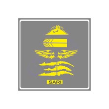 Oto Sticker Mega 4lü Paket Dikiz Kanat Pençe Bagaj Sticker