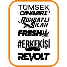 Arka Cam ve Çamurluk Oto Sticker Paket 35X20 cm Siyah Model 2