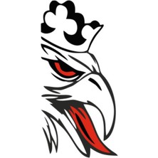 Scania Sticker, Beyaz Renk 20CM x 40CM Sağ ve Sol Takım