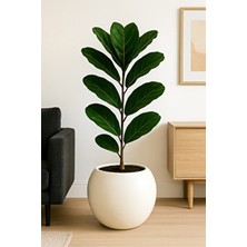 Küre Saksı 30 cm Beyaz Saksı Plastik Saksı Çiçek Saksısı