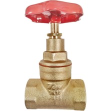 1" Şiber VANA-DN25-TSE-GENTA