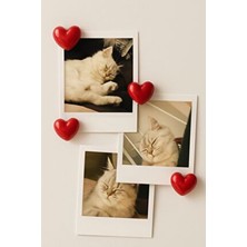 Home 5'li Kalpli Magnet Seti – Güçlü Mıknatıs ile Fotoğraf ve Not Tutucu Buzdolabı Süsü Dekoratif