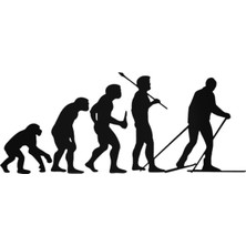 Evolution Japonca Geisha Evolution Sticker Araba Oto Arma Duvar Çıkartma 20 cm