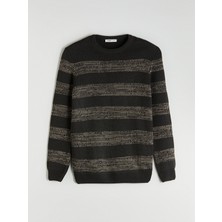 Lc Waikiki Yeni Sezon Bisiklet Yaka Çizgili Erkek Triko Kazak