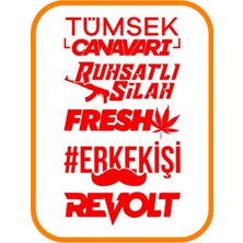 Arka Cam ve Çamurluk Oto Sticker Paket 35X20 cm Kırmızı Model 2