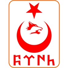 Türk Yazılı Ay Yıldız Kurt Hilal Oto Sticker 30X20 cm Kırmızı