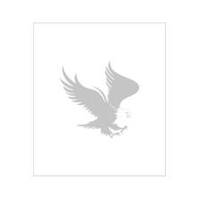 Kartal Sticker 15X15 cm