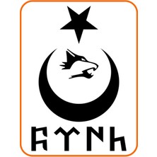 Türk Yazılı Ay Yıldız Kurt Hilal Oto Sticker 30X20 cm Siyah