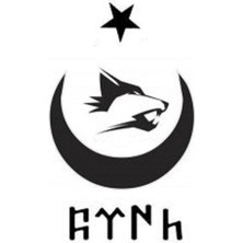 Türk Arma Bayrak Kurt Araç Sticker Araba Türk Bayrağı 15X15