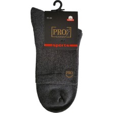 14013 Havlu Erkek Patik Çorabı Gri 41-44