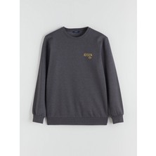 Lc Waikiki Yeni Sezon Bisiklet Yaka Baskılı Erkek Sweatshirt