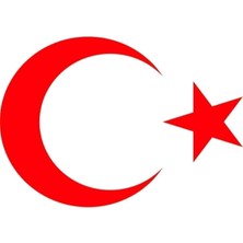 Türk Bayrağı Stıckers Ay Yıldız Kırmızı 22X16