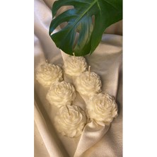 Bernamiofficial 6'lı Gül Vegan Mum