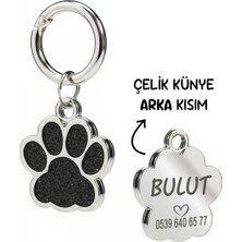 Çelik Simli Kedi Künyesi Kedi Isimliği