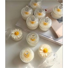 5 Adet Dekoratif Hediyelik Papatya Mum , Kapağı ile 10 Parçadır (Ürün Mikadır )