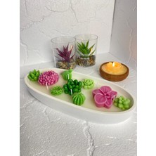 Kayık Kasede Kaktüs Bahçesi - Özel Hediyelik Mum