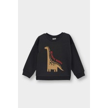 DeFacto Erkek Bebek Bisiklet Yaka Dinozor Baskılı İçi Yumuşak Tüylü Sweatshirt E9230A525AU